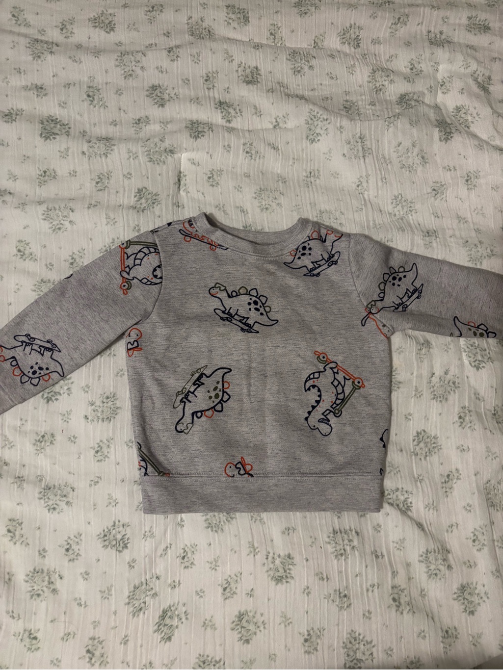Garanimals Gray Sweatshirt With Dino Skateboard Print And Orange Accents